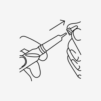 Illustrazione 5